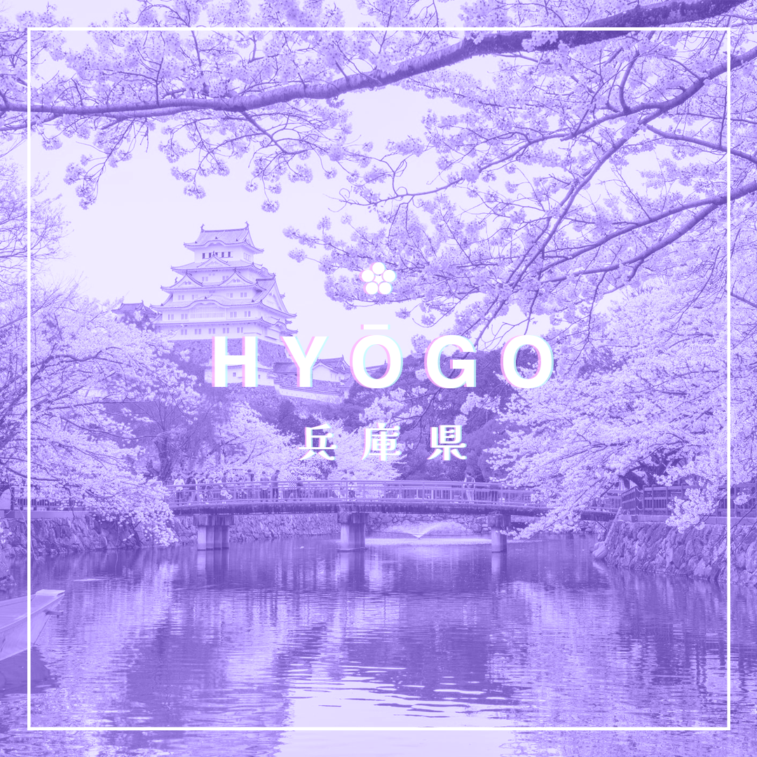 sake baby hyogo