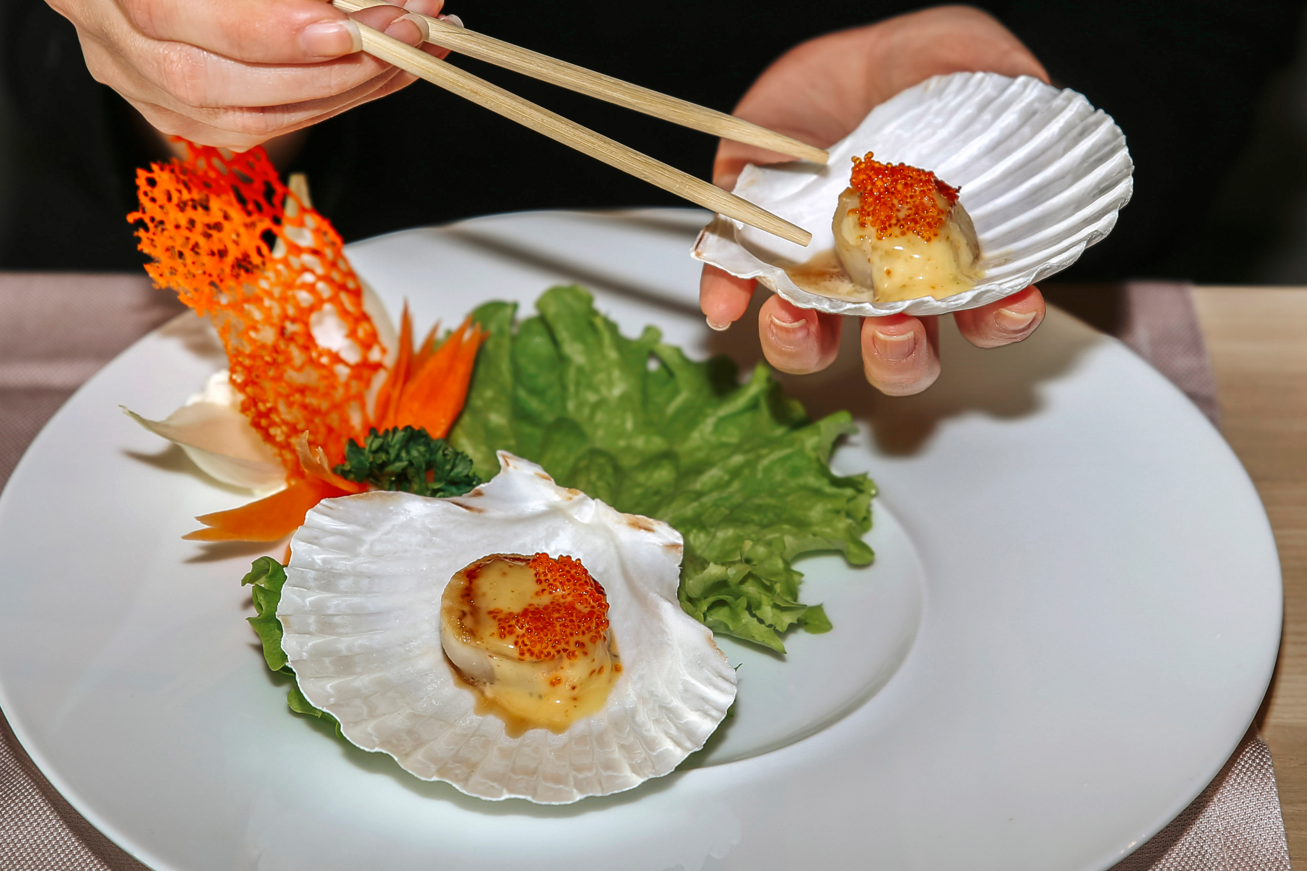 sushi in shells