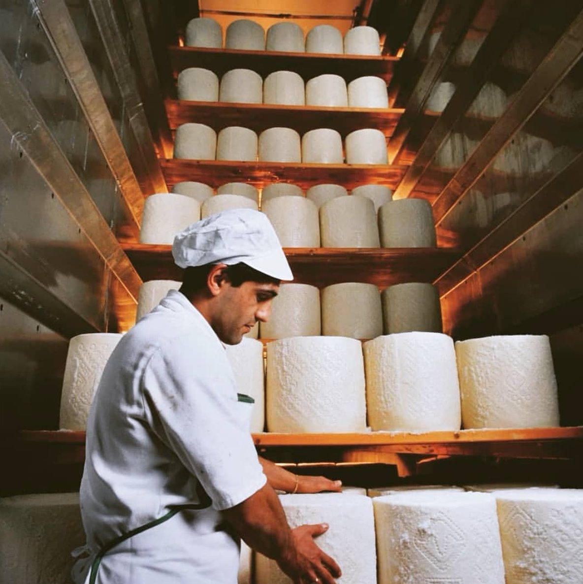ITA cheesemaker
