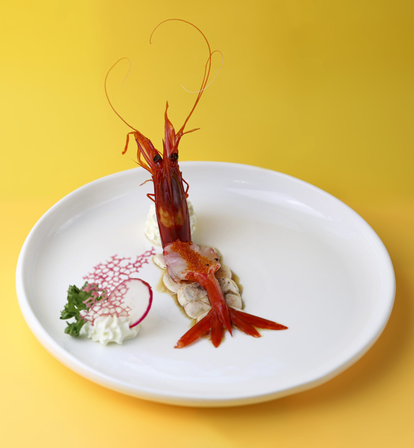 amysushi prawn yellow